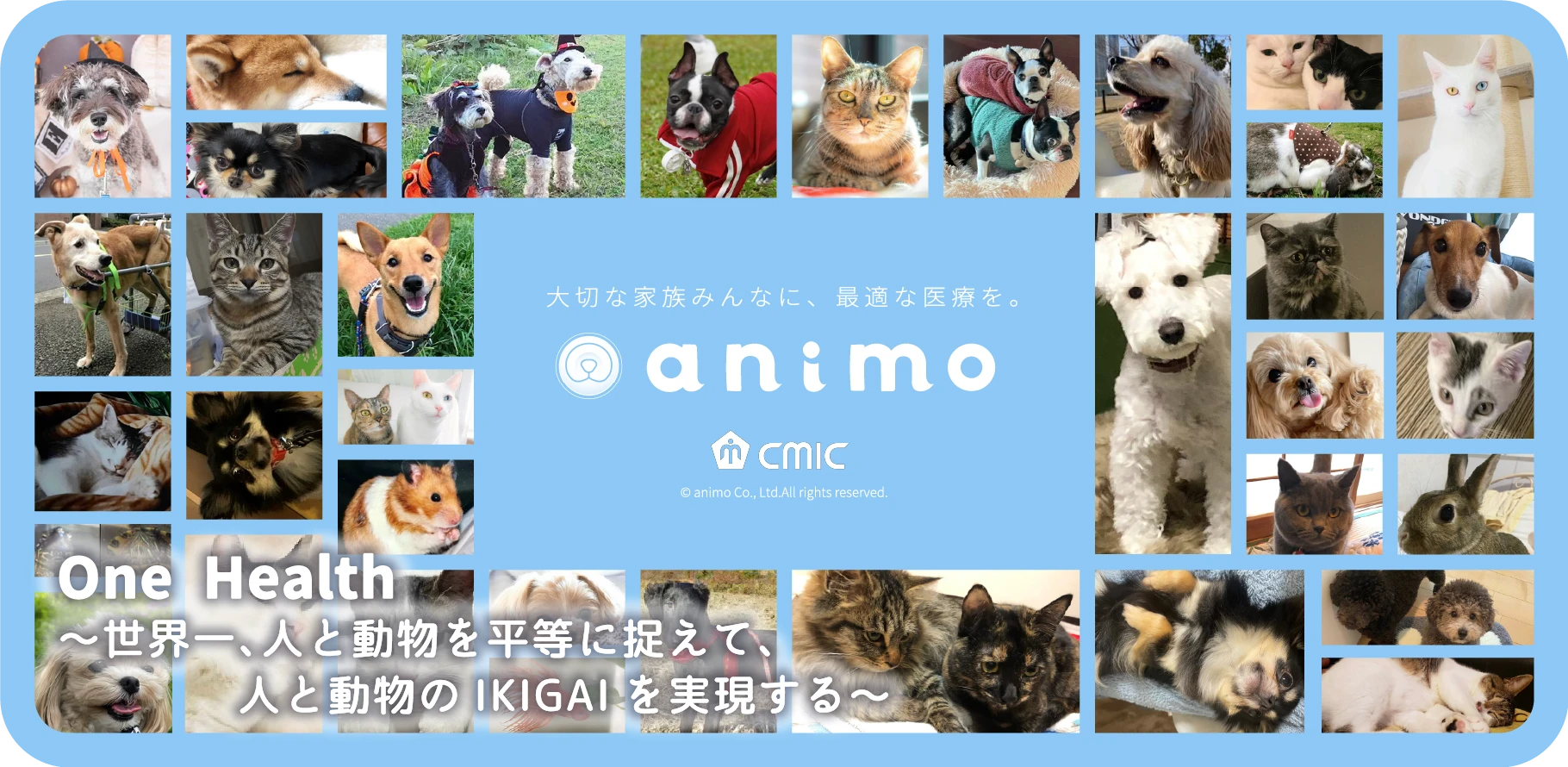 大切な家族みんなに、最適な医療を。 animo