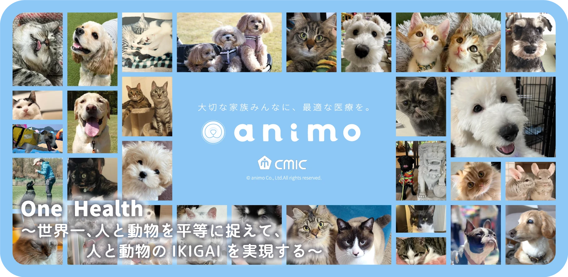 大切な家族みんなに、最適な医療を。 animo