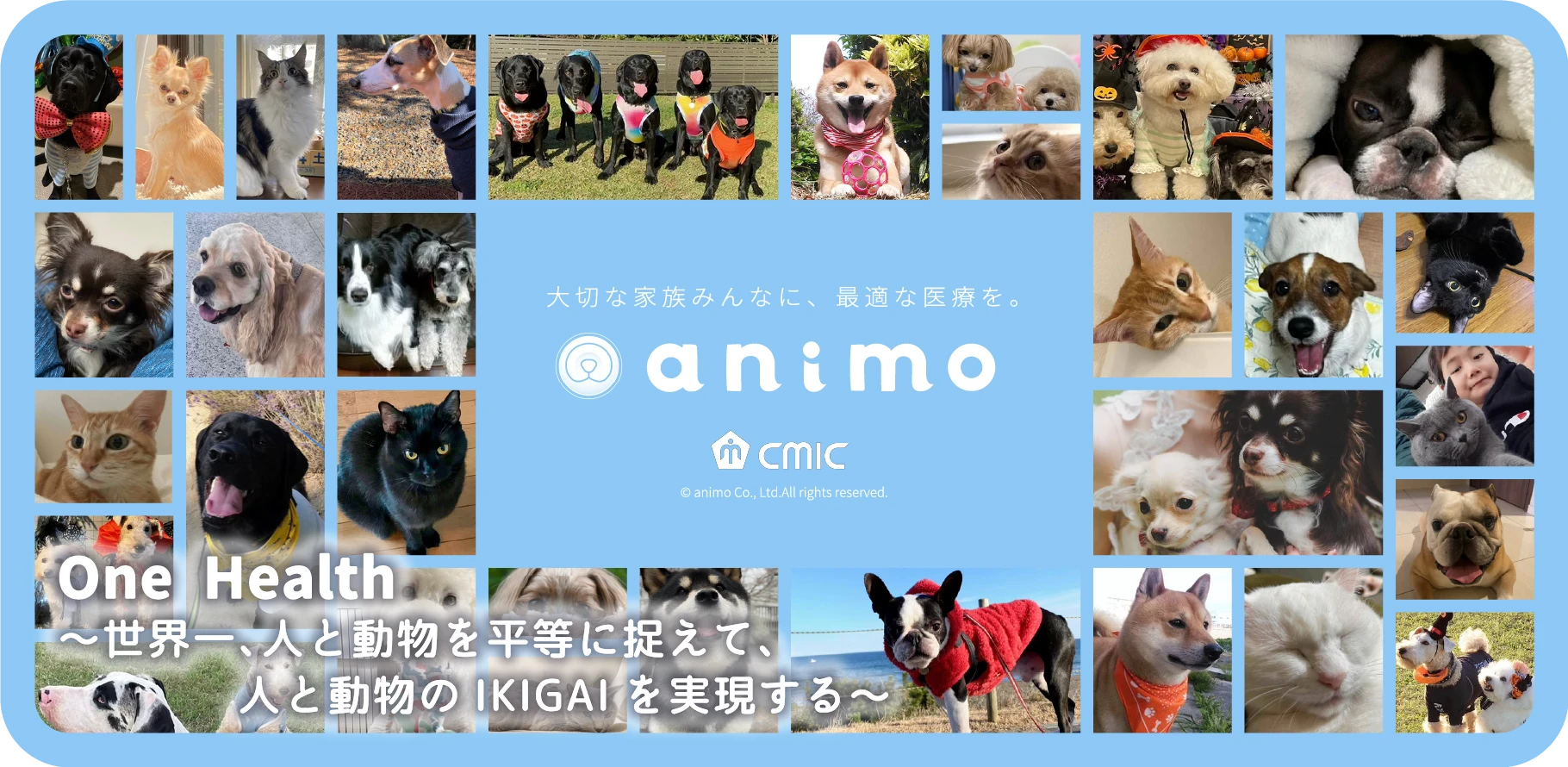 大切な家族みんなに、最適な医療を。 animo